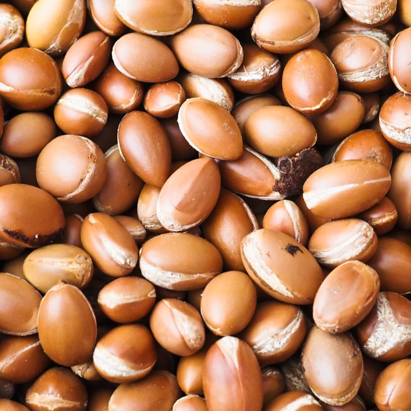 Huile d’argan cosmétique 100% bio – Soin naturel et hydratant du Maroc – Image 2