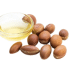 Huile d argan du Maroc dans flacon avec amandons arganier production artisanale