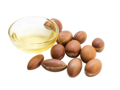 Huile d argan du Maroc dans flacon avec amandons arganier production artisanale